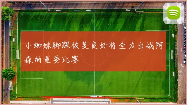 小蜘蛛脚踝恢复良好将全力出战阿森纳重要比赛
